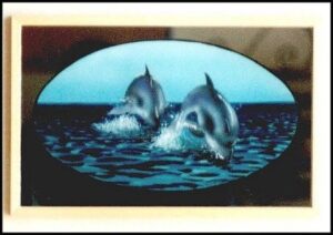 Specchio con Delfini (2001)
